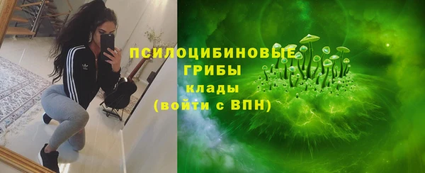 сатива Алексин