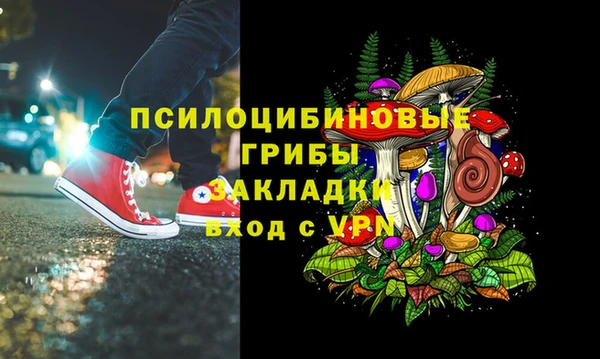 сатива Алексин