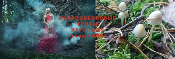 дживик Алзамай