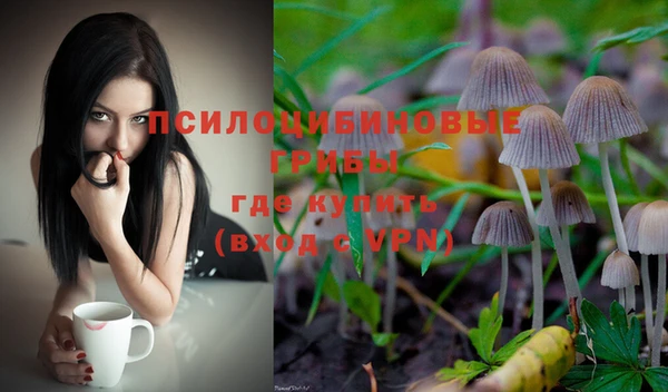 сатива Алексин