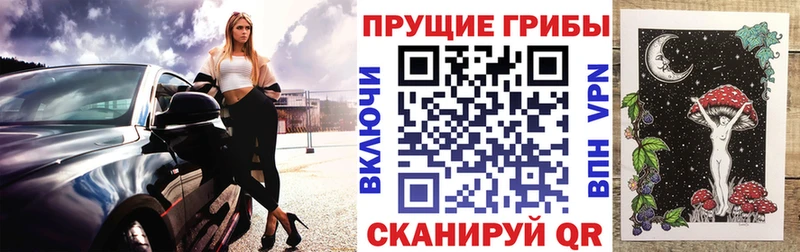 Галлюциногенные грибы GOLDEN TEACHER  Купить закладки  Плёс 